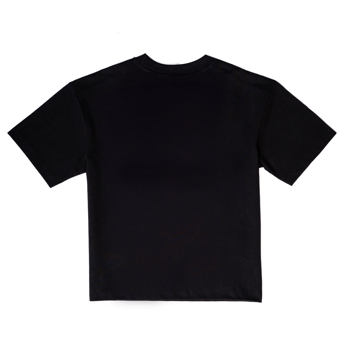 PAIRADISE T-SHIRT BLACK